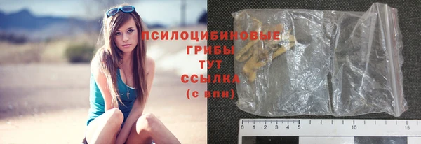 мяу мяу мука Алексеевка