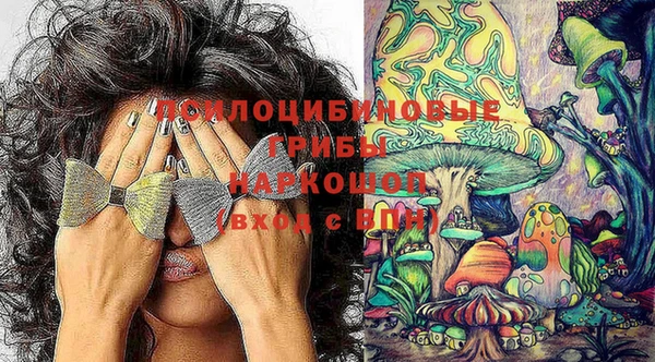spice Алексин