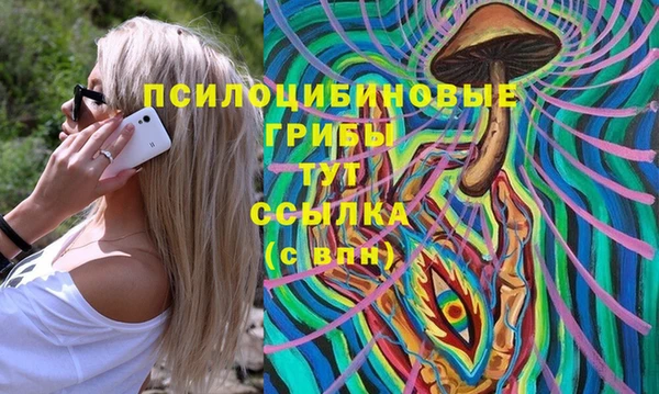 spice Алексин