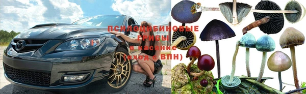 spice Алексин