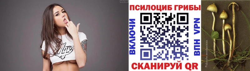 Псилоцибиновые грибы мицелий купить наркотик Джанкой